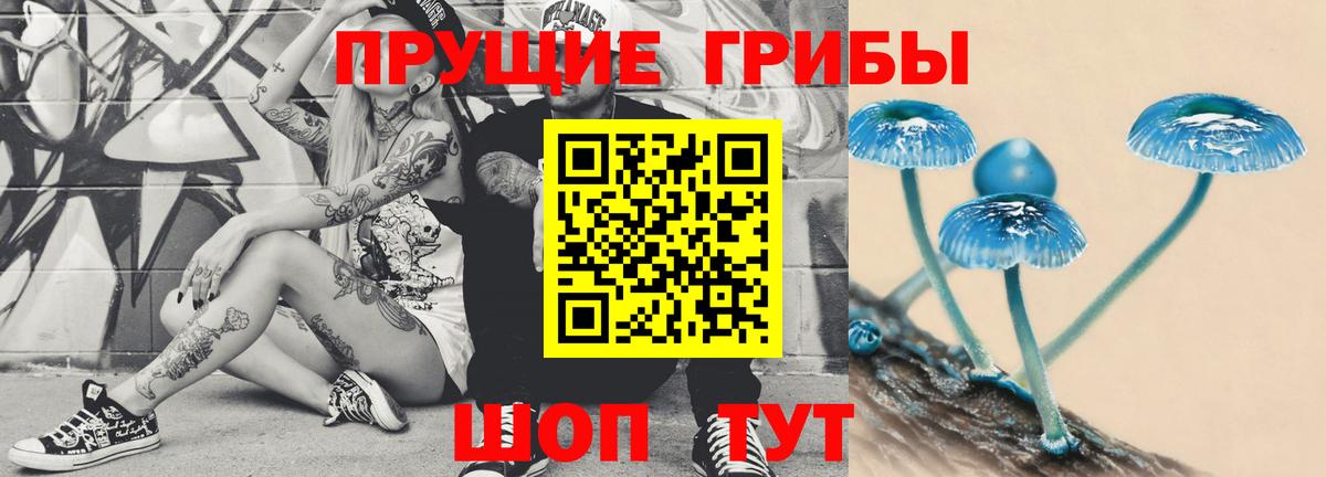 Коряжма  Галлюциногенные грибы прущие грибы  Вход с VPN 
